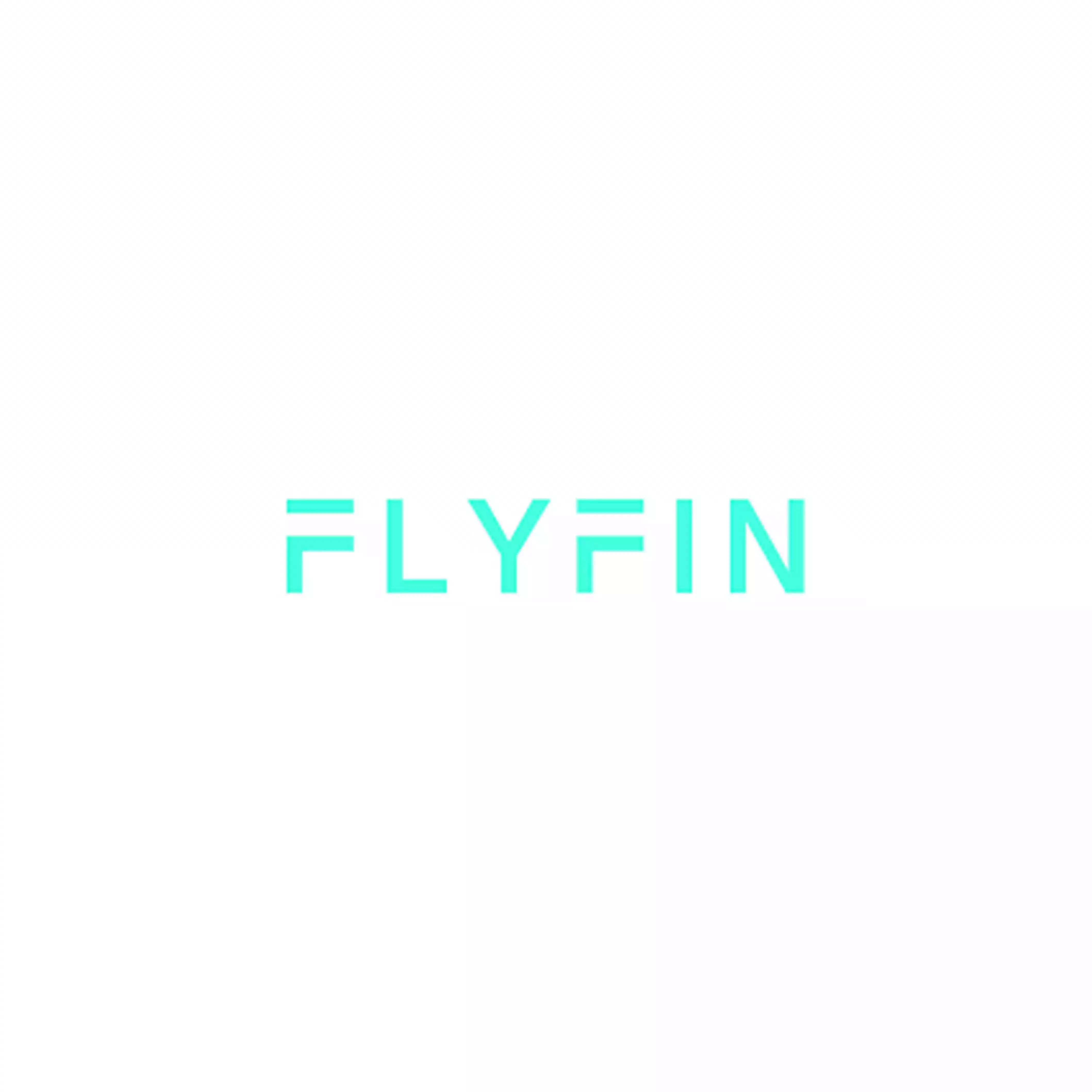 FlyFin