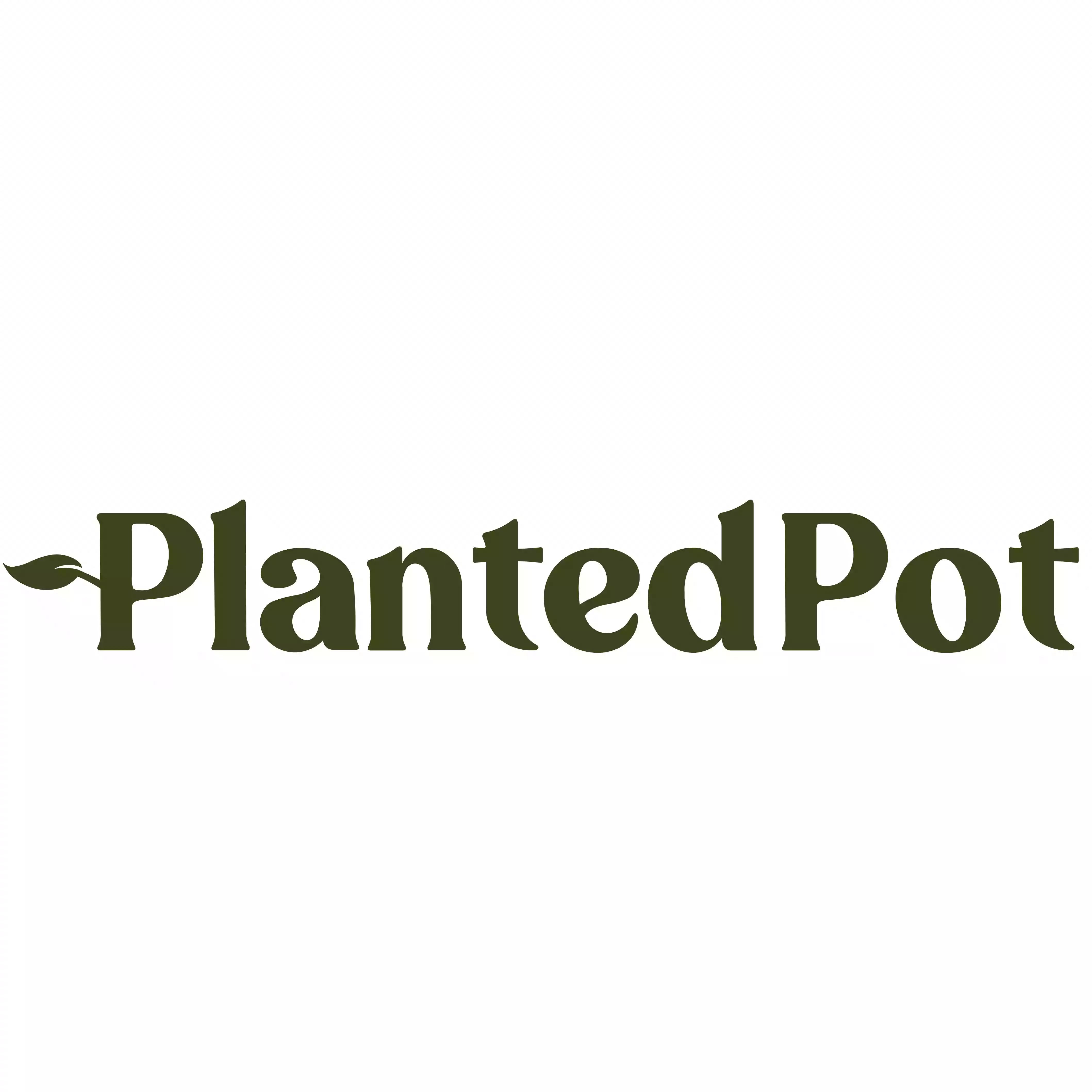 Planted Pot