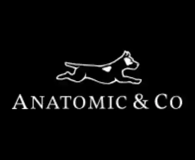 Anatomic Shoes