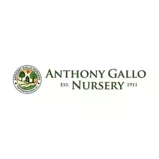 Anthony Gallo Nursery logo