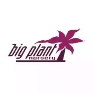 Big Plant Nursery