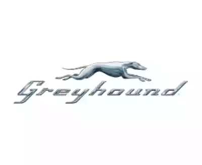 Greyhound