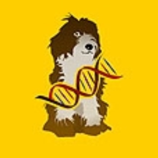 Happy Dog DNA