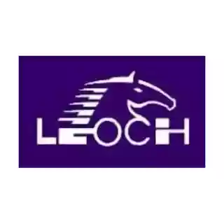 Leoch Battery