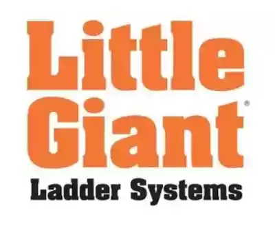 Little Giant Ladder