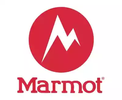 Marmot