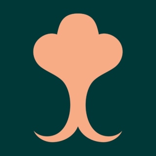 Natusan logo