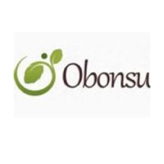 Obonsu LLC