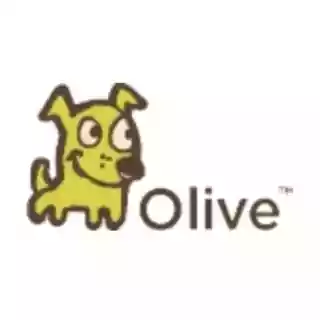Olive Green Dog