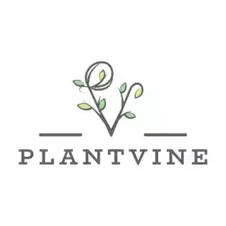 Plant Vine